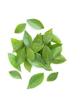 50 gm Henna Powder Online at best price - hbkonline.in